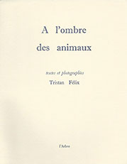 À l’ombre des animaux